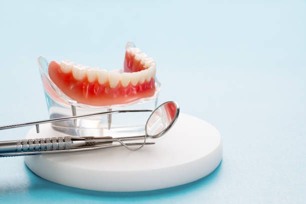 Best Traditional Braces  in Hines, OR